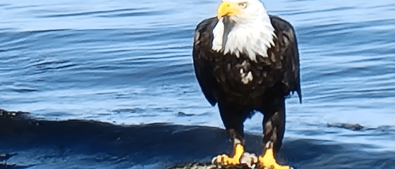 Untitled design - 2025-12-21T113946.210